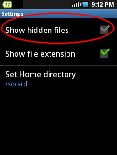 hidden files