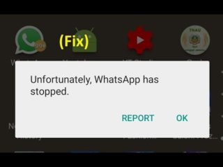 [9 Ways] Fix “Unfortunately, WhatsApp Has Stopped” On Android